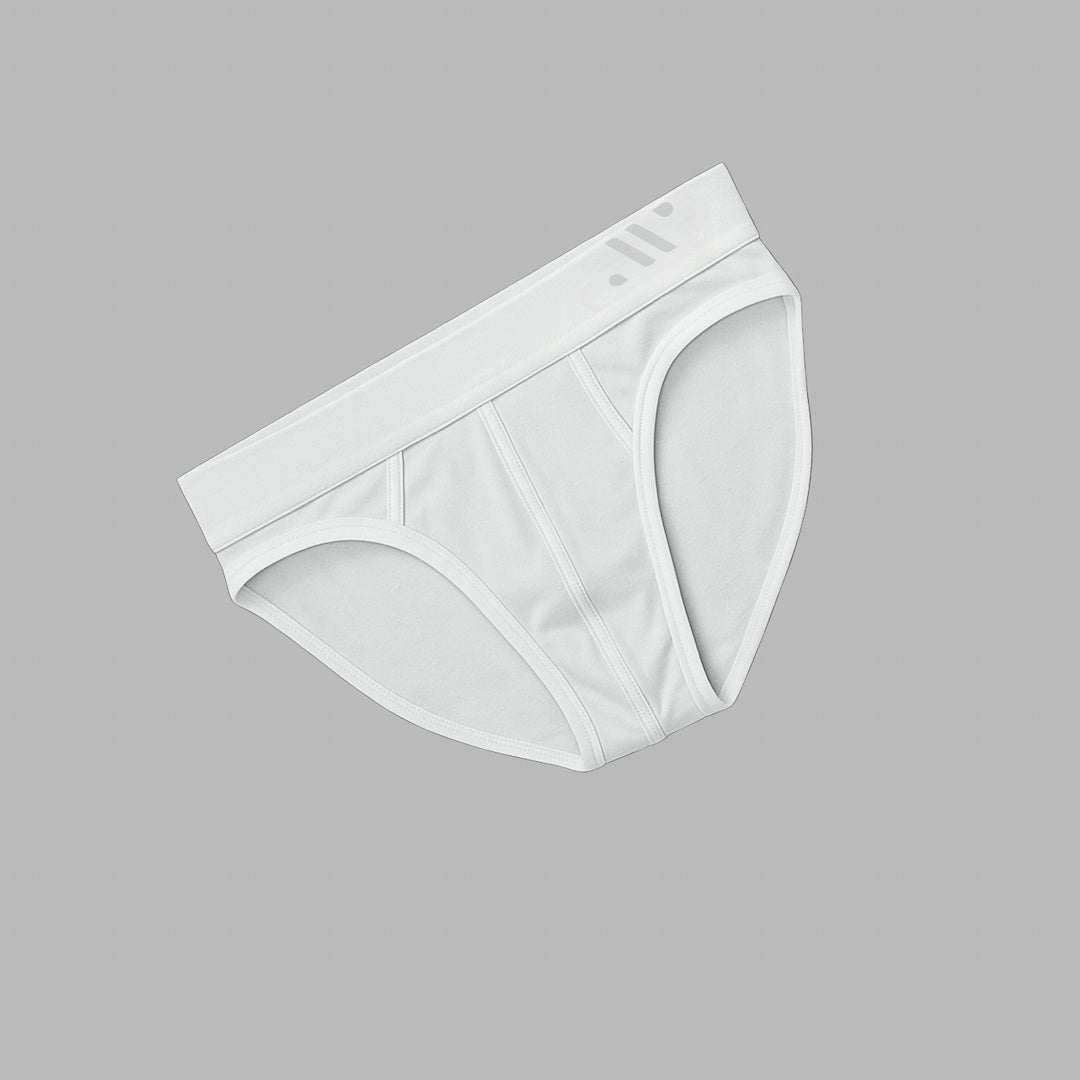 ALPHX Briefs Modern Fit Frost White- Low Rise Full Coverage Underwear ALPHX Alphx.com