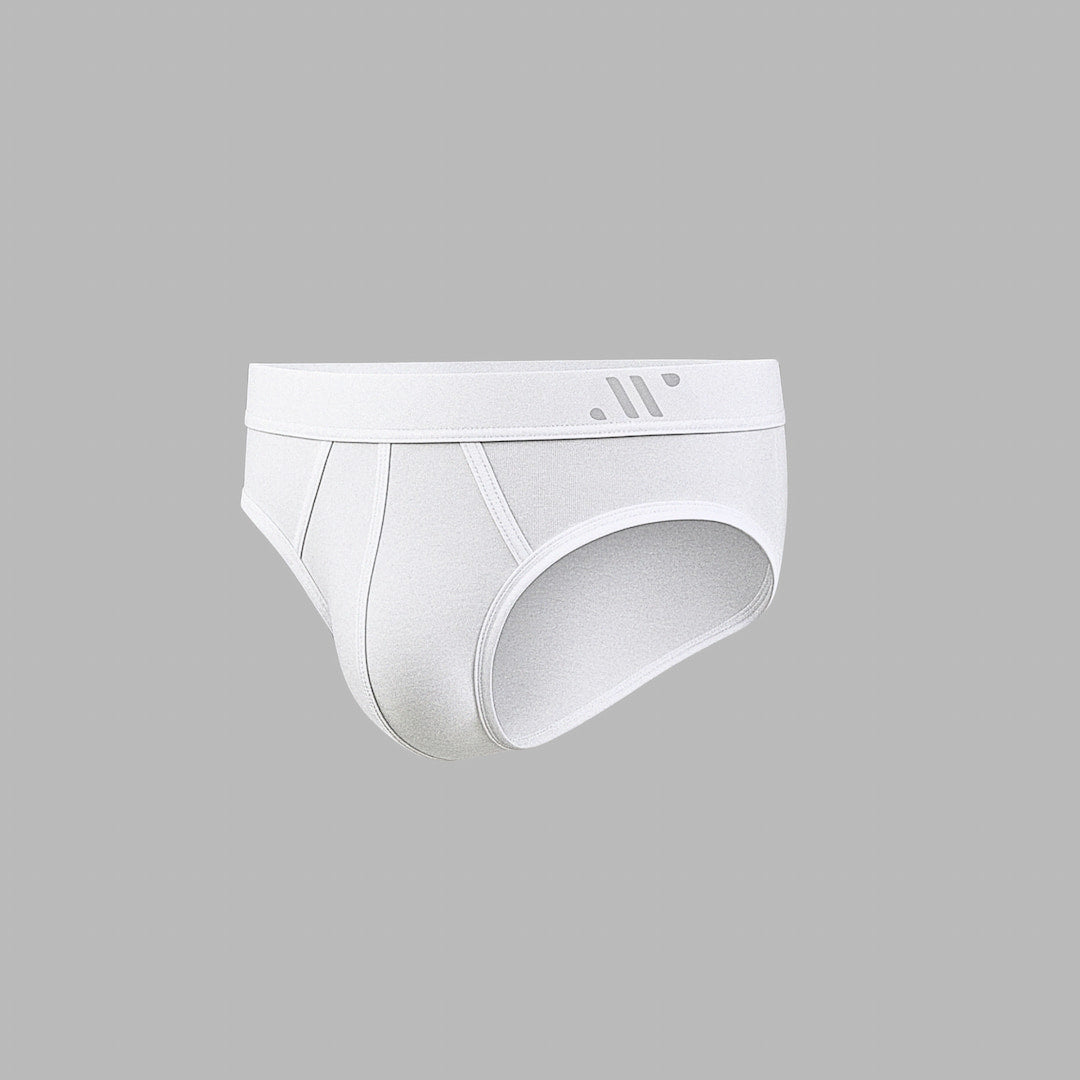 ALPHX Briefs Modern Fit Frost White- Low Rise Full Coverage Underwear ALPHX XS Alphx.com