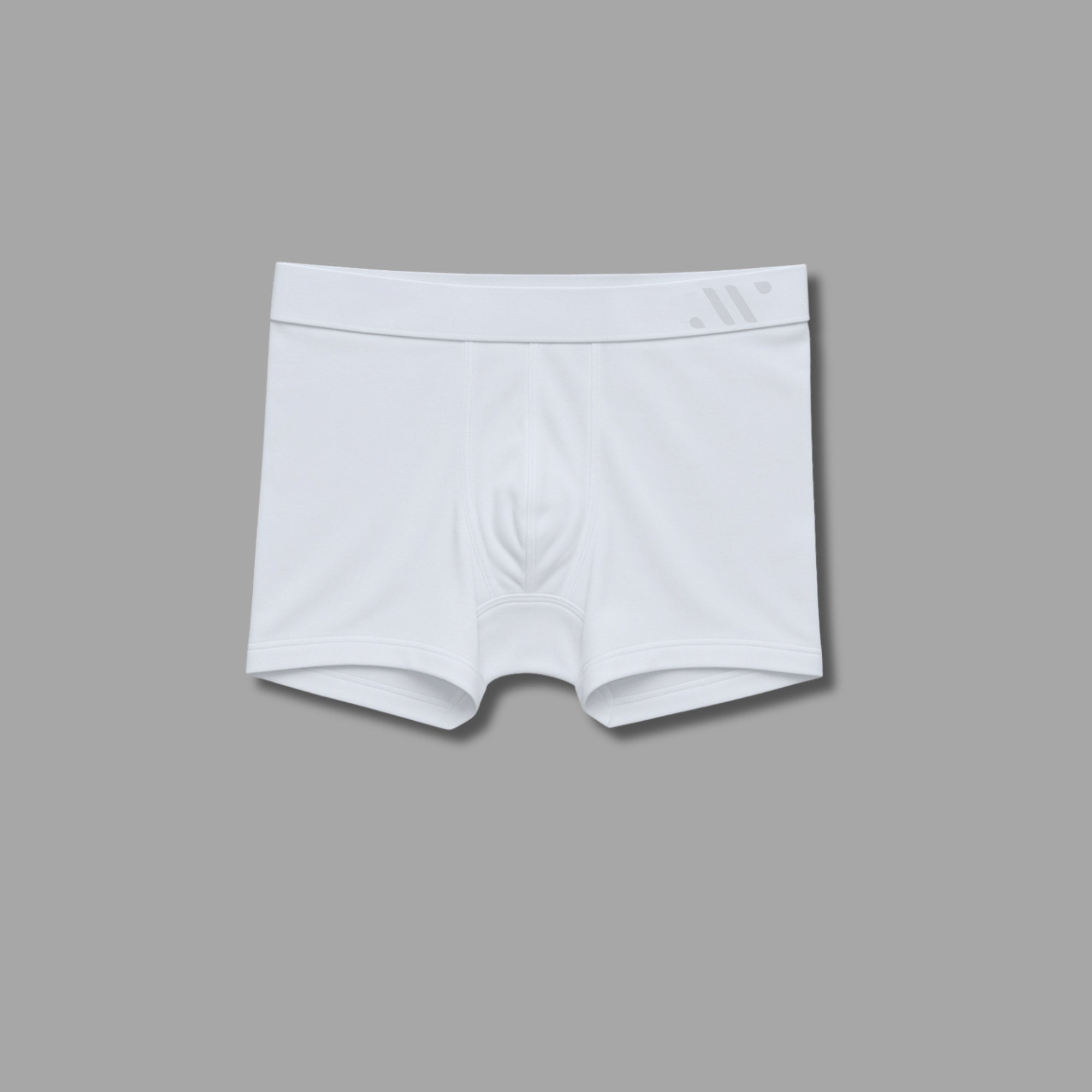 ALPHX Modern Fit Trunks –Frost White Support & Comfort Redefined Underwear ALPHX Alphx.com